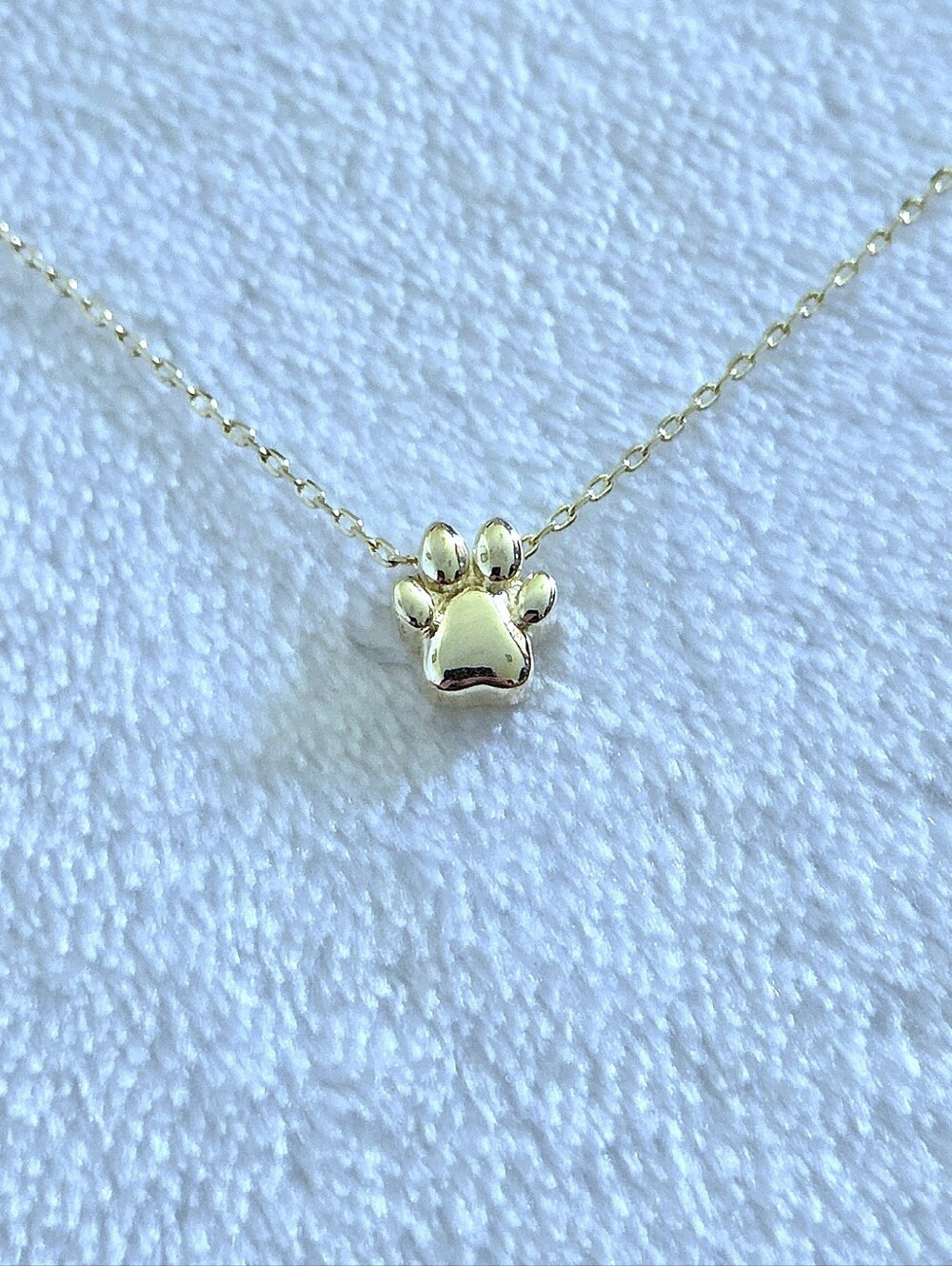 Isabella M. Dainty Gold💛 Slider Paw🐾 Pendant Necklace